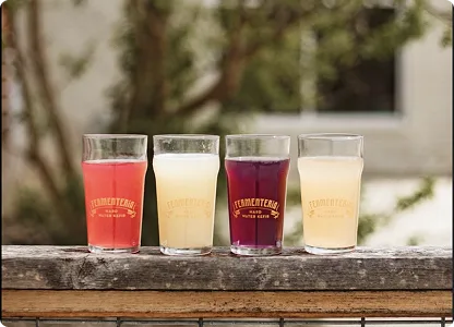 Water Kefir Across Cultures